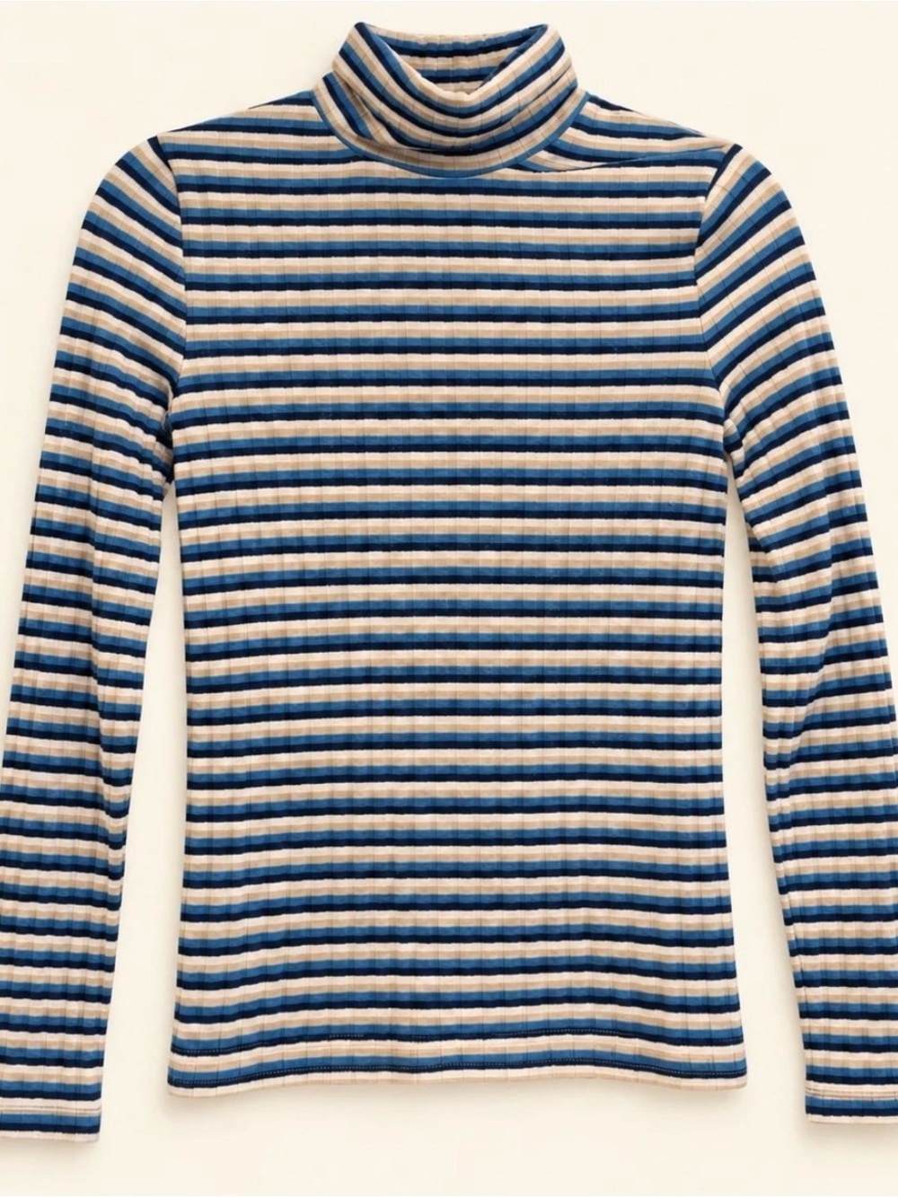 Madewell Whisper Cotton Turtleneck Top in Tessie Stripe | XS